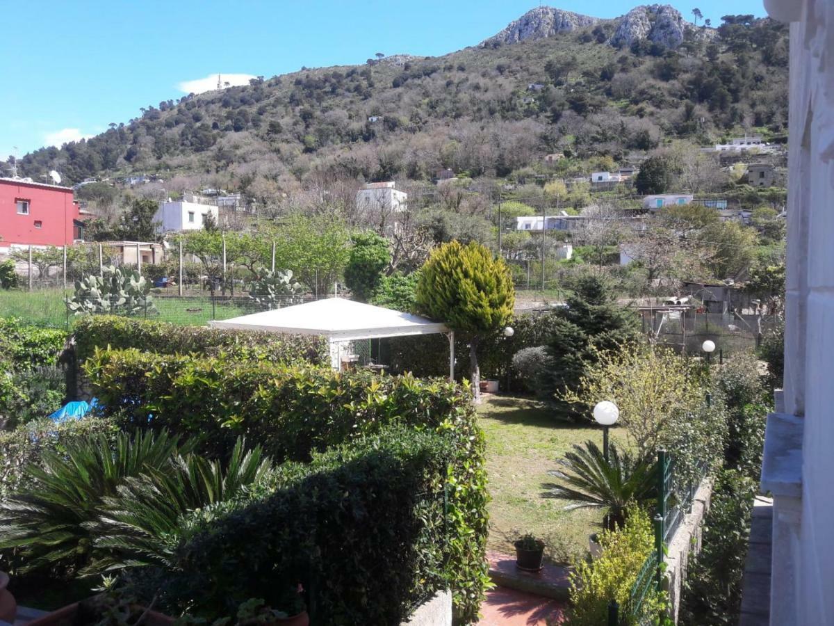 Villa Alessandro - Anacapri Anacapri  Exteriér fotografie