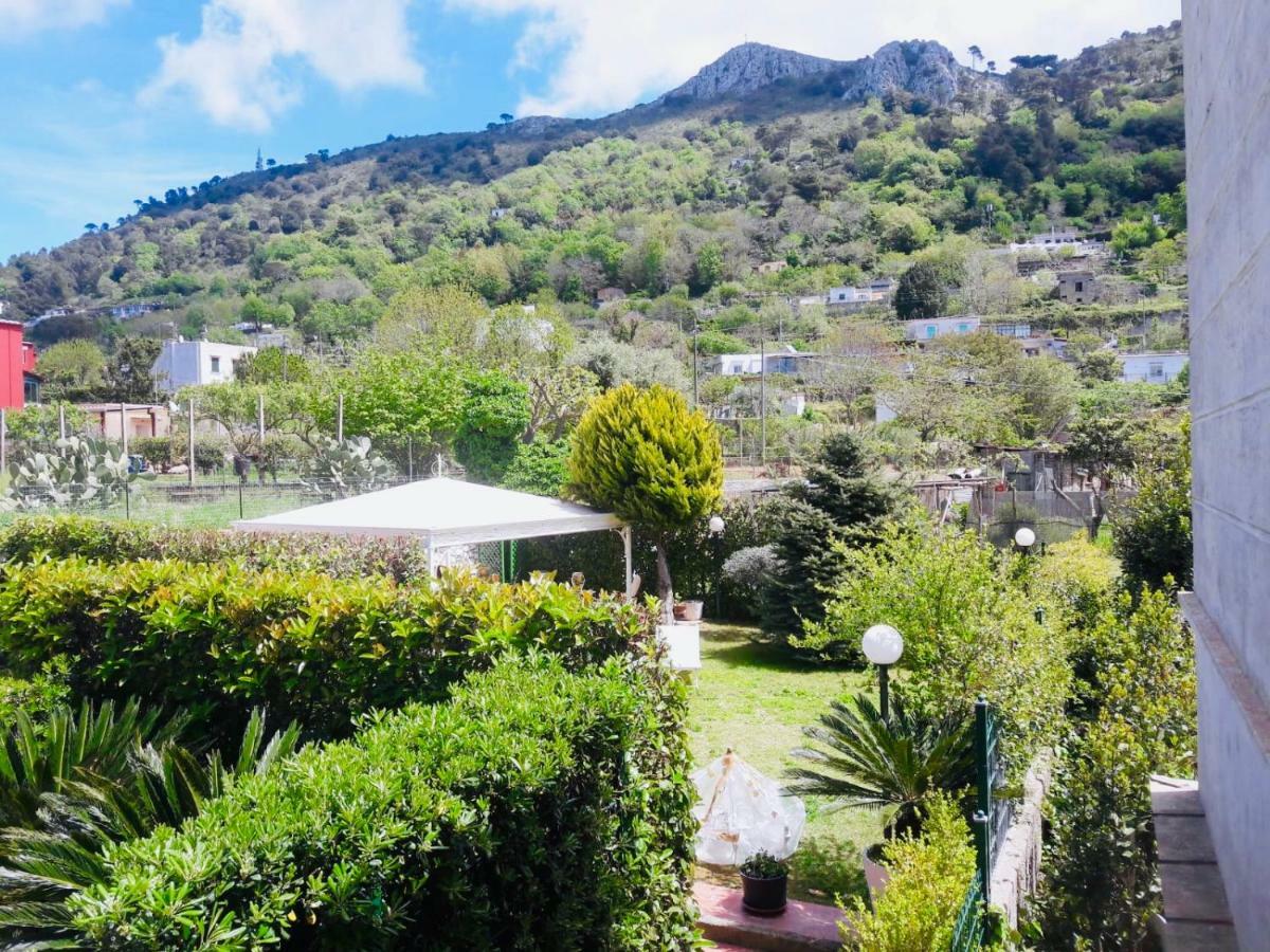 Villa Alessandro - Anacapri Anacapri  Exteriér fotografie